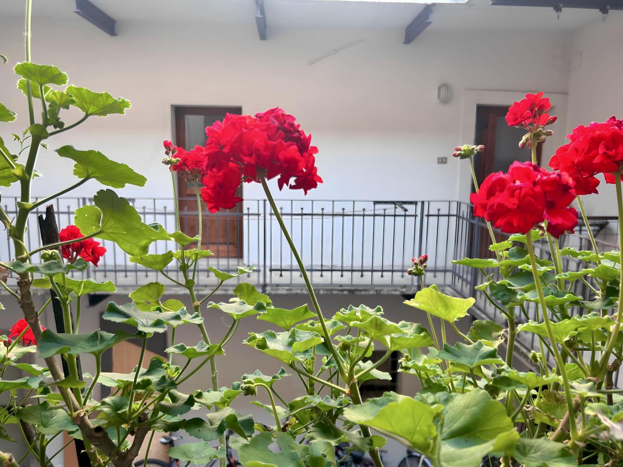 Gorizia Holiday Inn Rastello Suite Exterior foto
